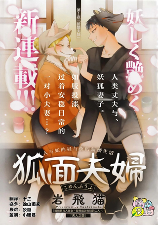 狐面夫妇