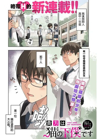 猫与仆