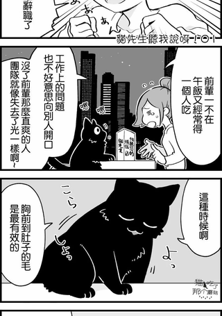 猫先生听我说呀