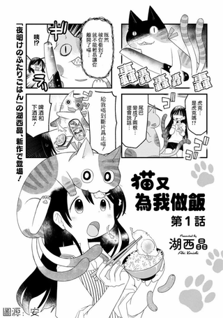 猫又为我做饭