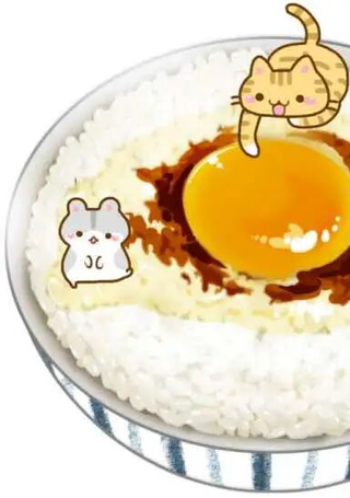 猫和仓鼠