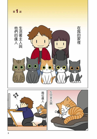 猫和我的日常
