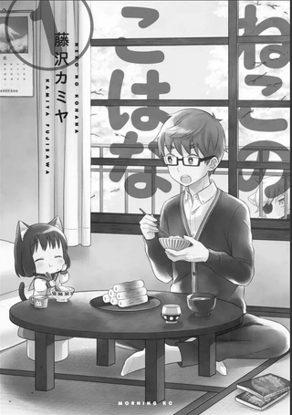 猫咪小花
