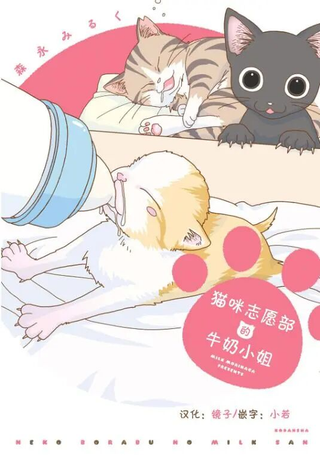 猫咪志愿部的牛奶小姐