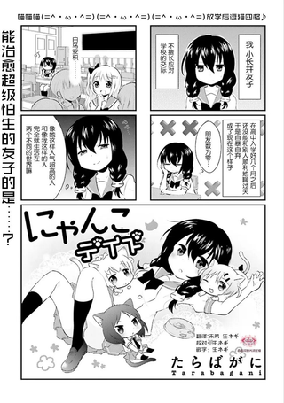 猫咪日常
