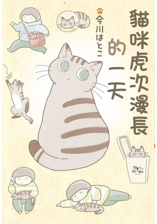 猫咪虎次漫长的一天