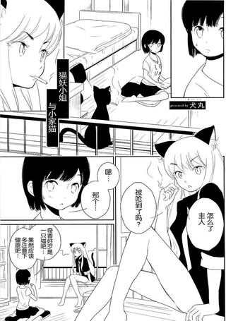 猫妖小姐与小家猫