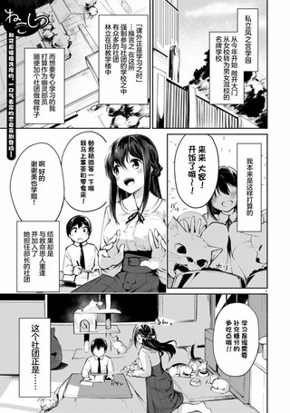 猫猫部教室