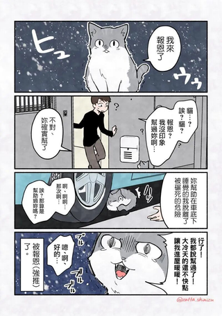 猫的报恩