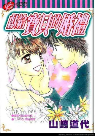 献给宝贝的婚礼