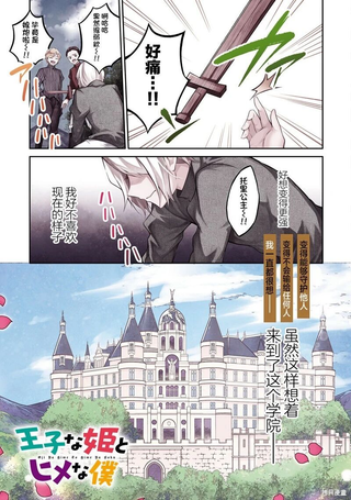 王子样的公主和公主样的我