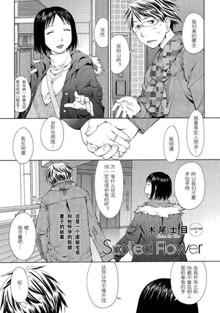 现视研二代目