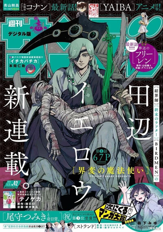 界变的魔法使