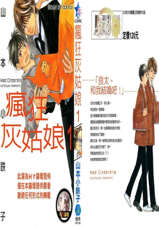 疯狂灰姑娘
