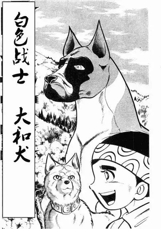 白色战士大和犬