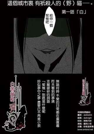 白蔷薇的猫