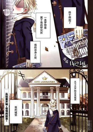 白衣的国王