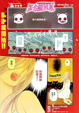 百合熊风暴