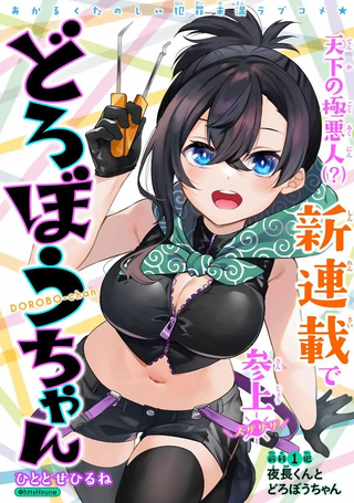 盗贼酱