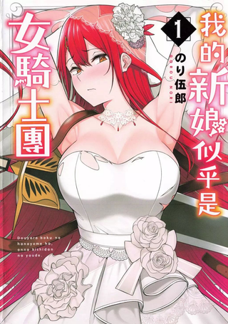 看来我的新娘是女骑士团