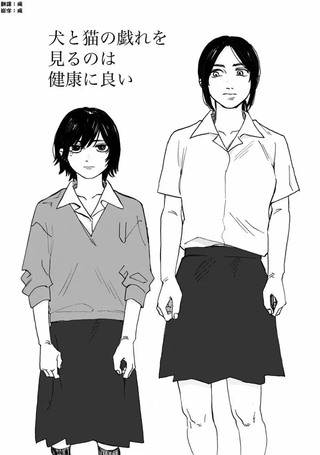 看猫狗嬉戏有益身体健康