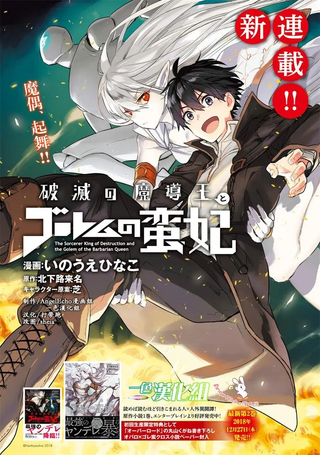 破灭之魔导王与魔偶蛮妃