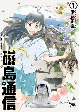 磁岛通信