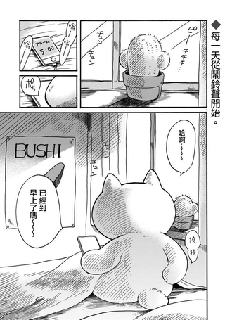 社畜猫猫