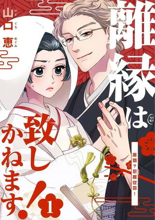 离婚？恕难从命！
