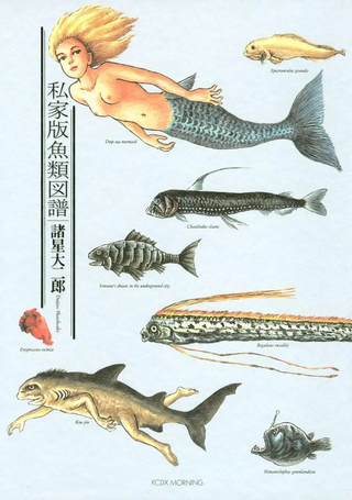 私家版鱼类图谱