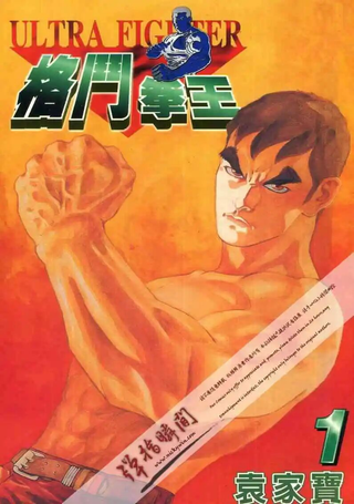 格斗拳王