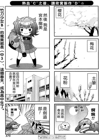 竹刀少女D