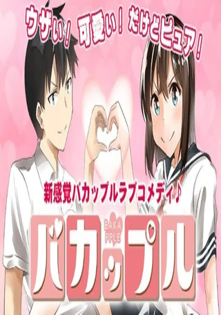 笨蛋情侣