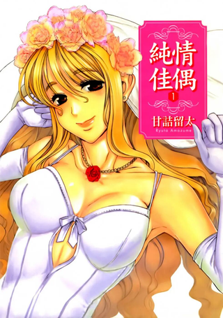 纯情佳偶