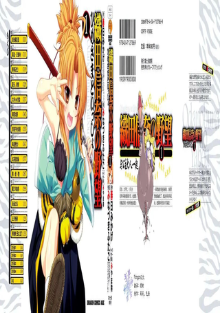 织田信奈的野望外传