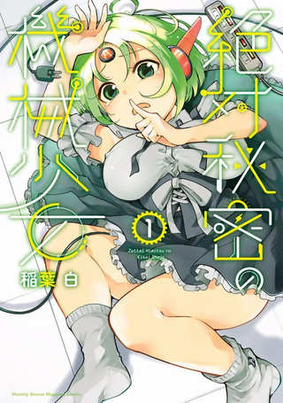绝对秘密的机械少女