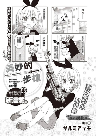 美妙的步枪