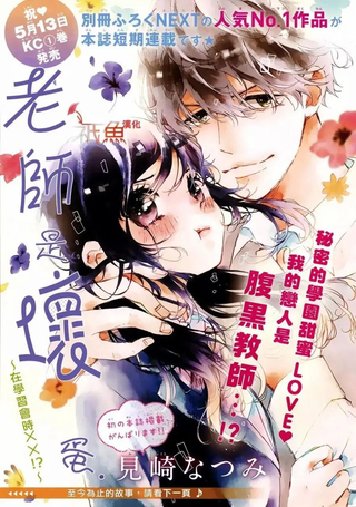 老师是坏蛋