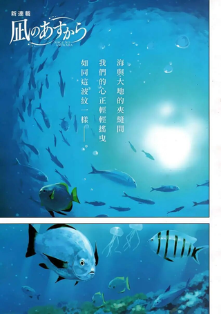 自无风之明日