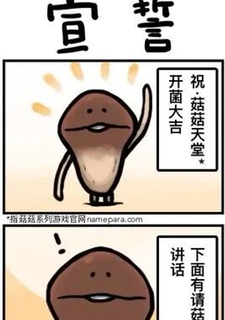 菇菇timeDX