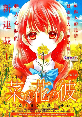 菜乃花的男朋友
