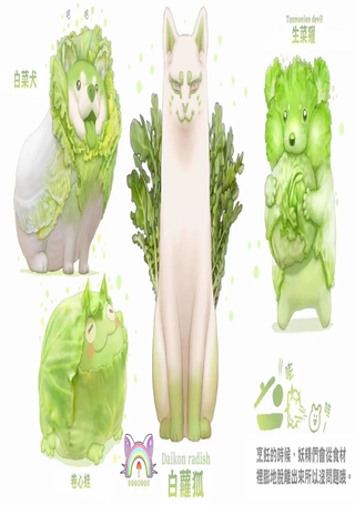 蔬菜图鉴