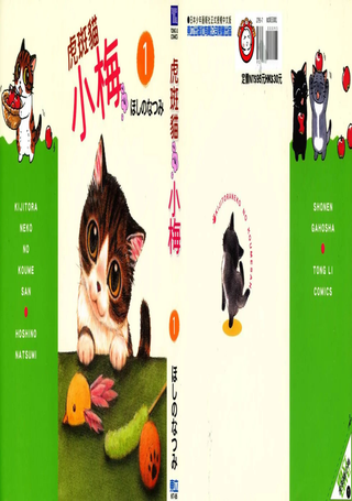 虎斑猫小梅