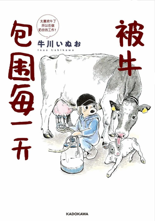 被牛包围每一天