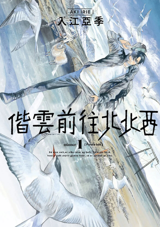 西北偏北，随云而去