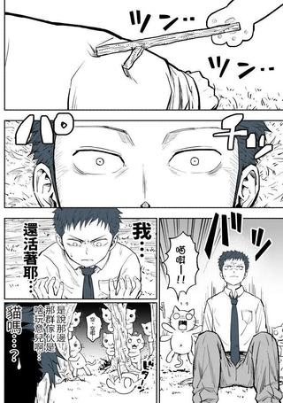 转生到了个满满都是猫的异世界