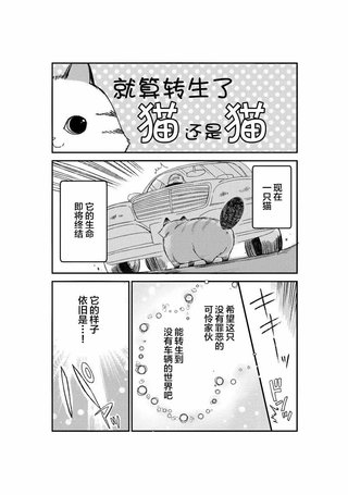 转生猫猫