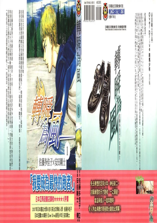 转瞬为风