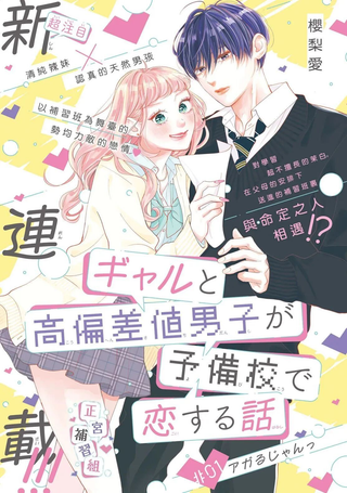 辣妹与学霸的补习班恋爱物语