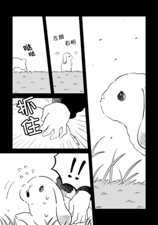 这里是兔兔王国